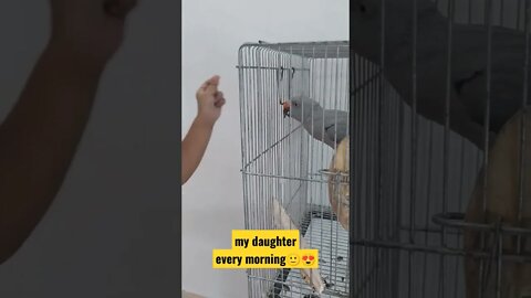 mydaughtermoments #daughterlove #petlovers #irn #indianringneck #notogadgets