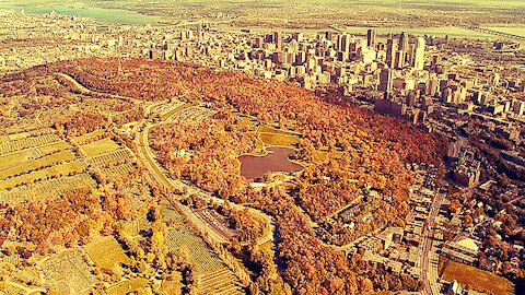 Montreal New York Central Park