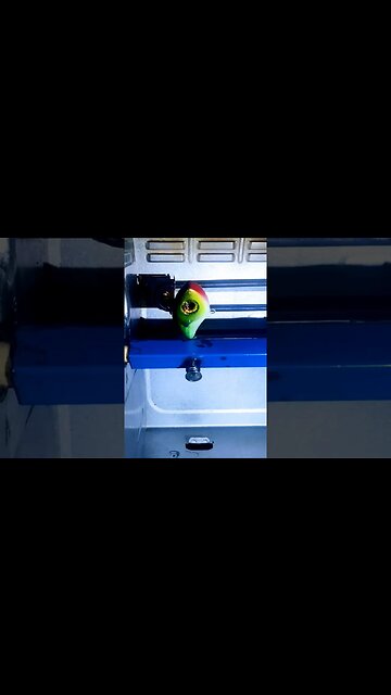 green scheme lipless rap