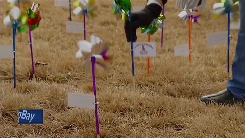 Pinwheels placed for missing people in Wisconsin