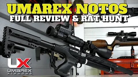 UMAREX NOTOS FULL REVIEW AND RAT HUNT