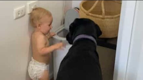 Baby secretly feeds dog