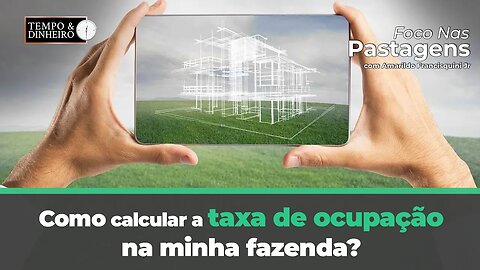 Como calcular a taxa de ocupação na minha fazenda? Foco nas Pastagens explica.