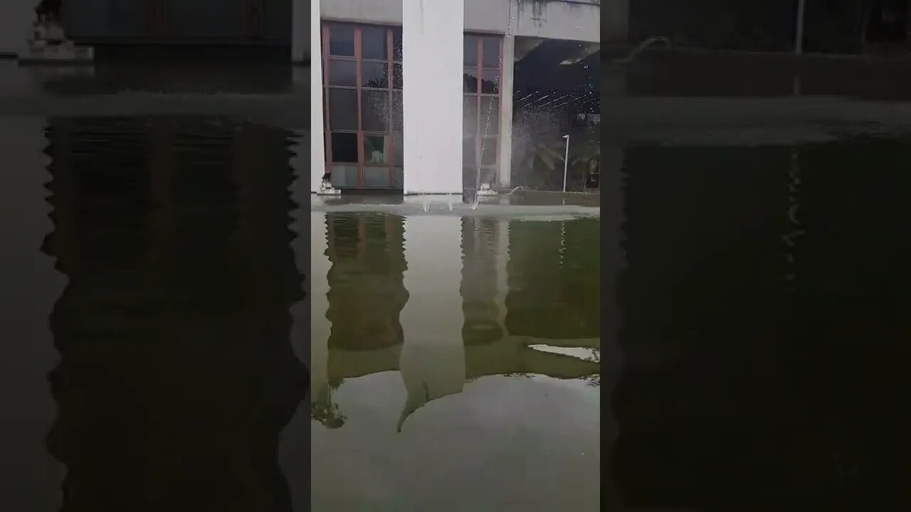 QUANDO VOU NO BANHEIRO DE MANHÃ