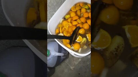 A Little Holiday Cheer ✨ 🍷