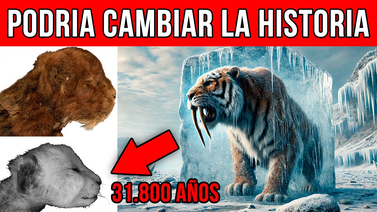 🦴❄️"Este descubrimiento podría cambiar la historia" 😲