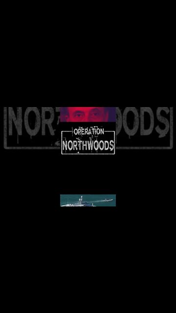 Bombing Our Own People to Start a War 💥 #shorts