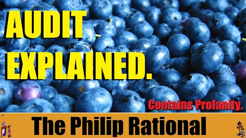 The Philip Rational: The Arizona Audit Explained