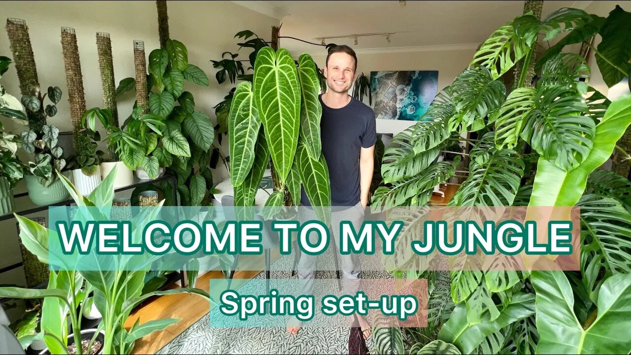 LIVING ROOM TOUR - setting up my indoor jungle for spring