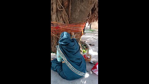 banayan tree ki Pooja