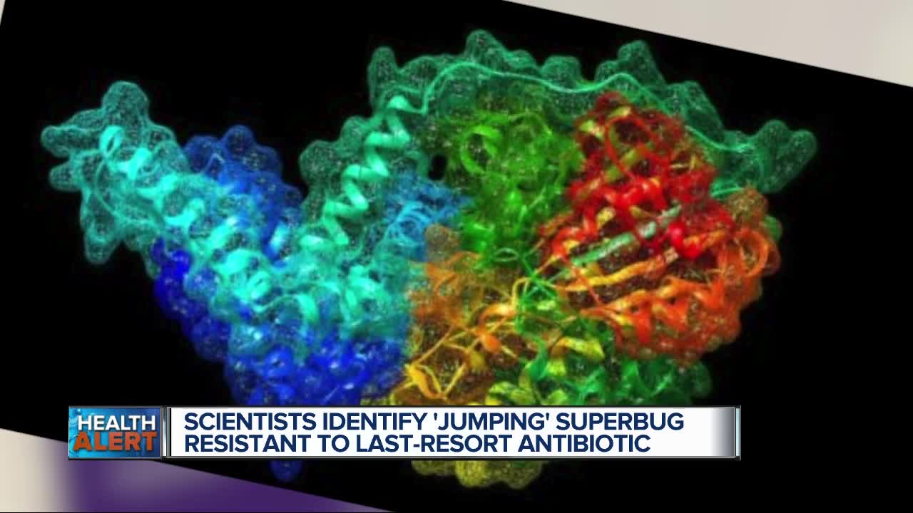 Scientists identify 'jumping' superbug gene resistant to last-resort antibiotic