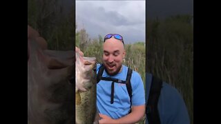 MASSIVE Colorado largemouth bass - UNBELIEVABLE!!