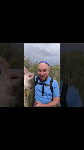 MASSIVE Colorado largemouth bass - UNBELIEVABLE!!