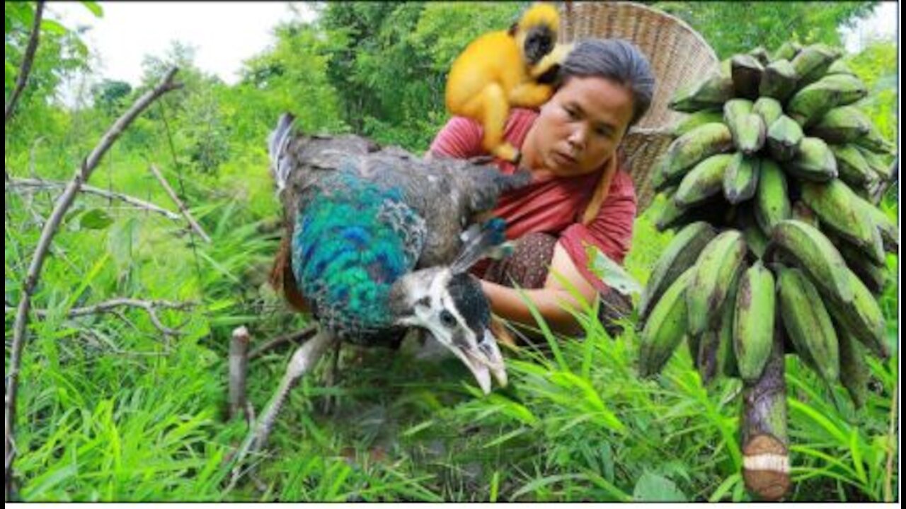 woman found peafowl die and cook fish with banana for food her pet