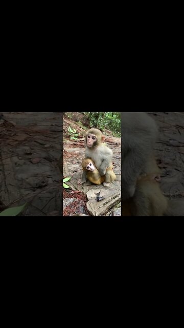 Most Amazing and trending video||relaxing your mind||trendig videos|| #shorts #trending #viral #live