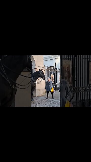Horse bites her coat #horseguardsparade