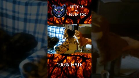 K8 LOATHES the Fox Plush #shorts