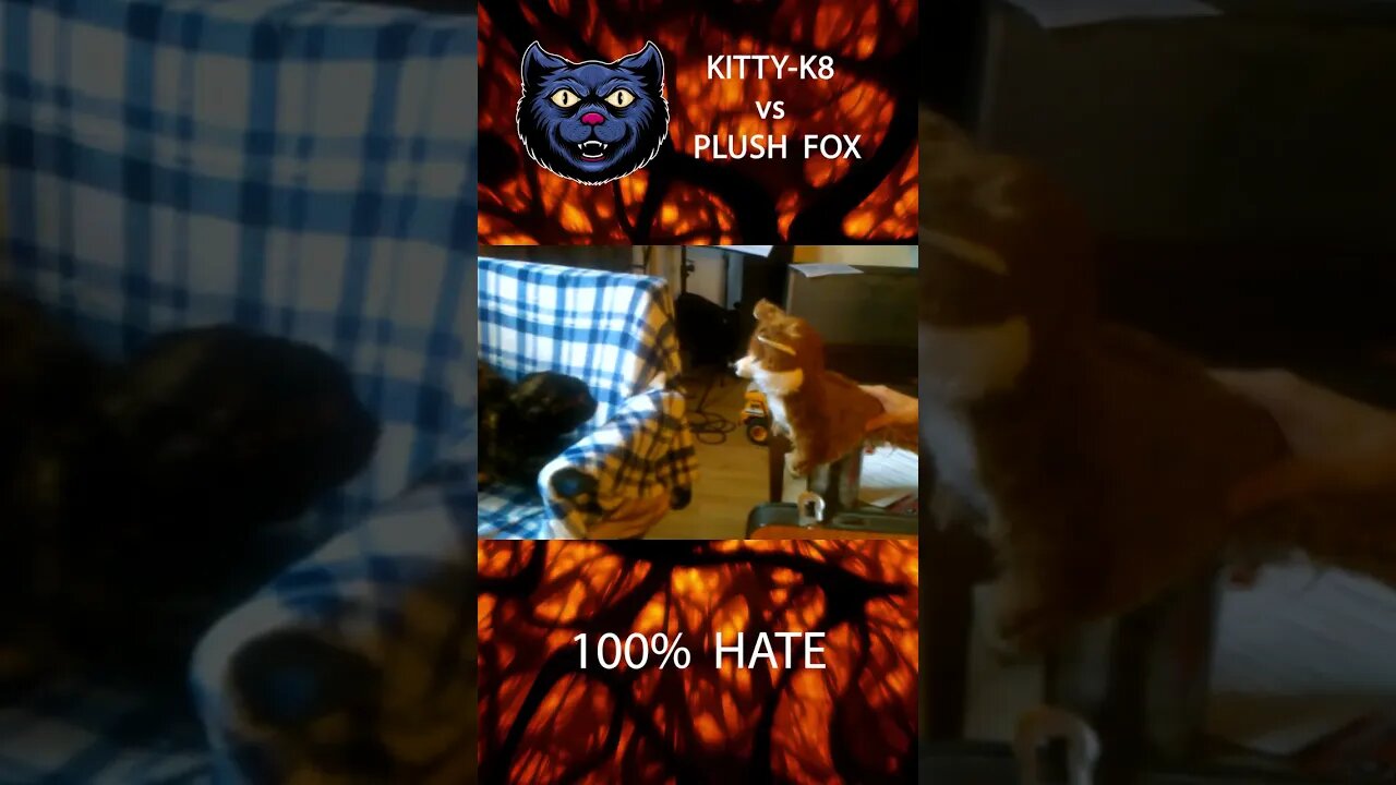 K8 LOATHES the Fox Plush #shorts