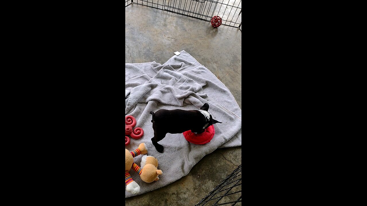 Brandy likes the ring