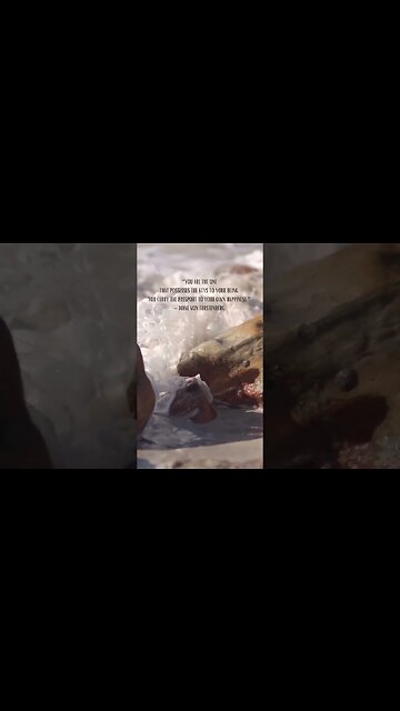 Unlock Your Happiness: You Possess the Keys to Your Being