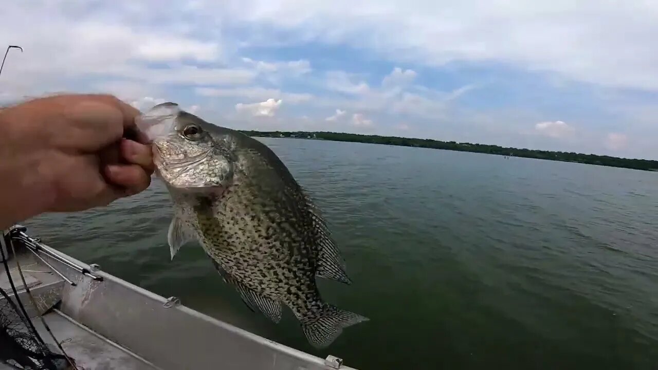 Dock shooting fish, crappie fishing video, dealing with poachers. Summer crappie.