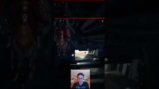 Warframe | Play Game or Talk to Cat?