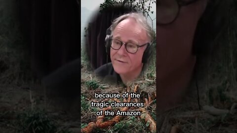 The accidental discovery of large ancient cities in the amazon forest - Graham Hancock & Joe Rogan
