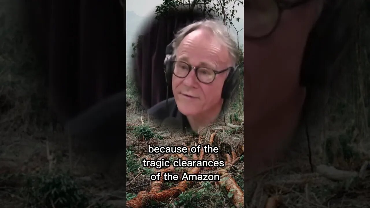The accidental discovery of large ancient cities in the amazon forest - Graham Hancock & Joe Rogan