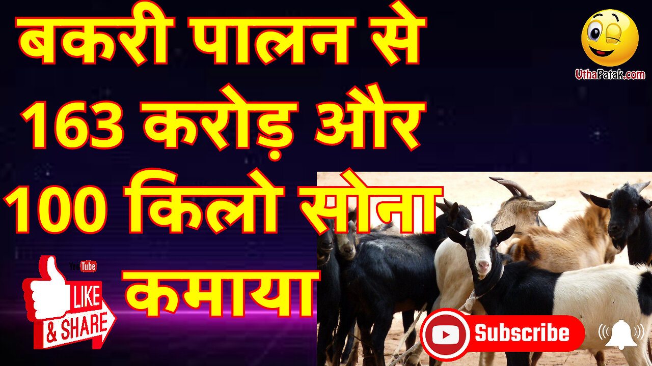 सबसे बड़ी IT रेड: 163 करोड़ कैश, 100 किलो सोना जब्त