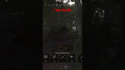 I am Bush #huntshowdown #mychannel #gaming #hunt #ytshorts #funny #crytek #shortsfeed #stealth #win