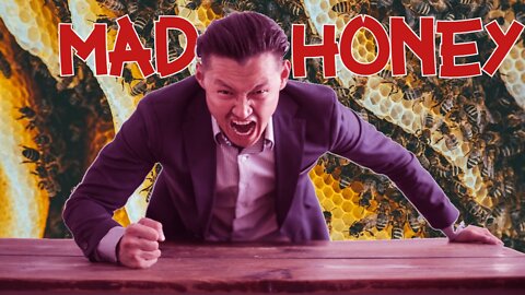 Dancing Bees, Mad Honey, and Manuka Honey - The Wonderful World of Bees