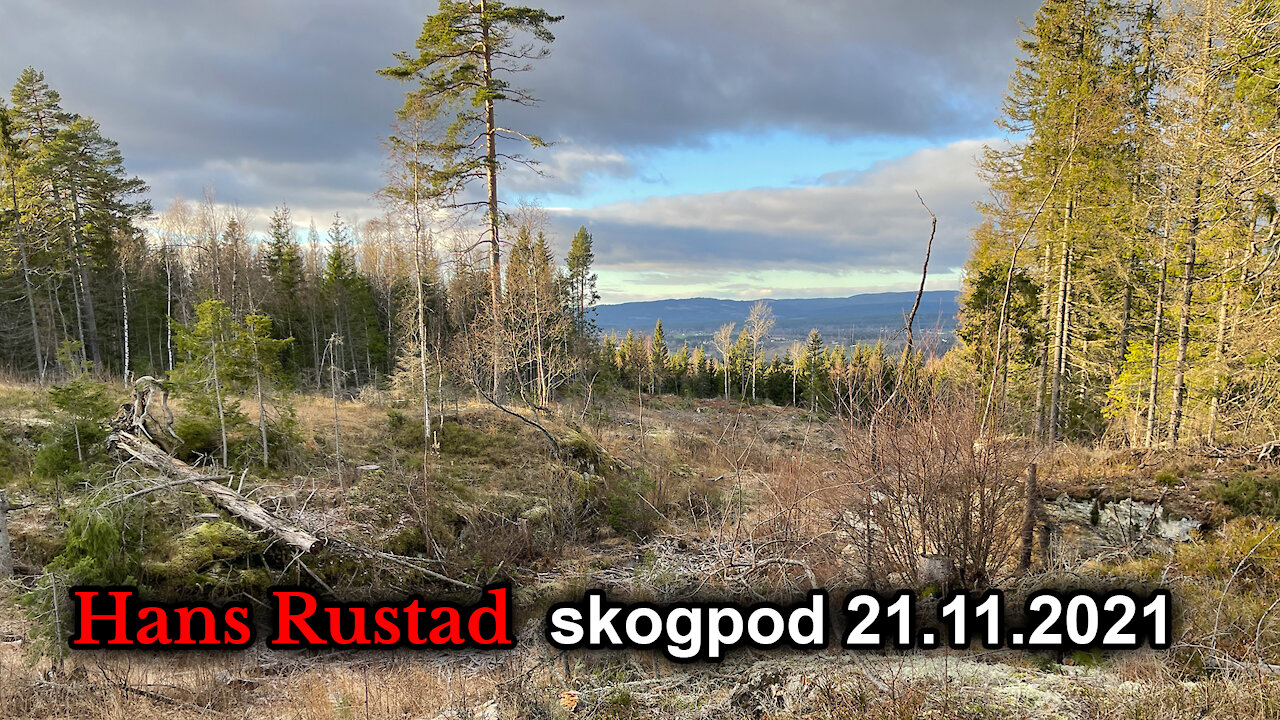 Skogpod 21 november, 2021: Retten til selvforsvar