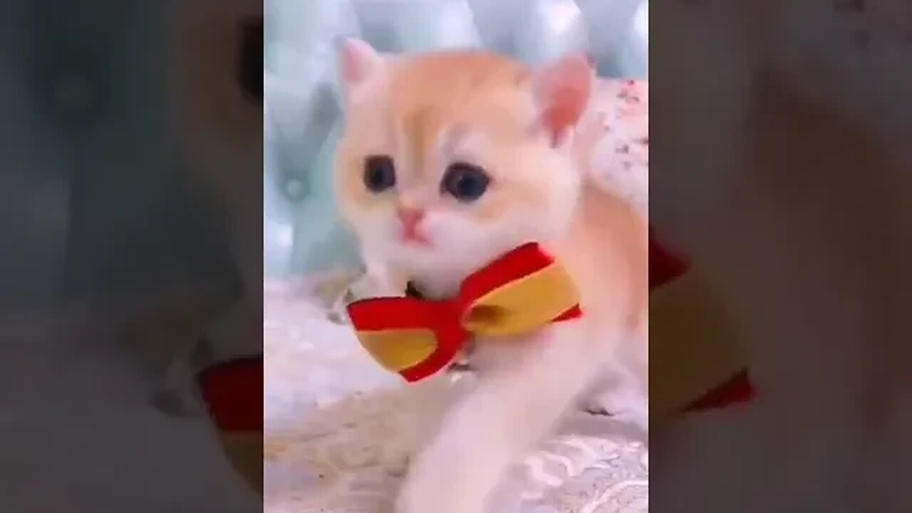 SOOO cute
