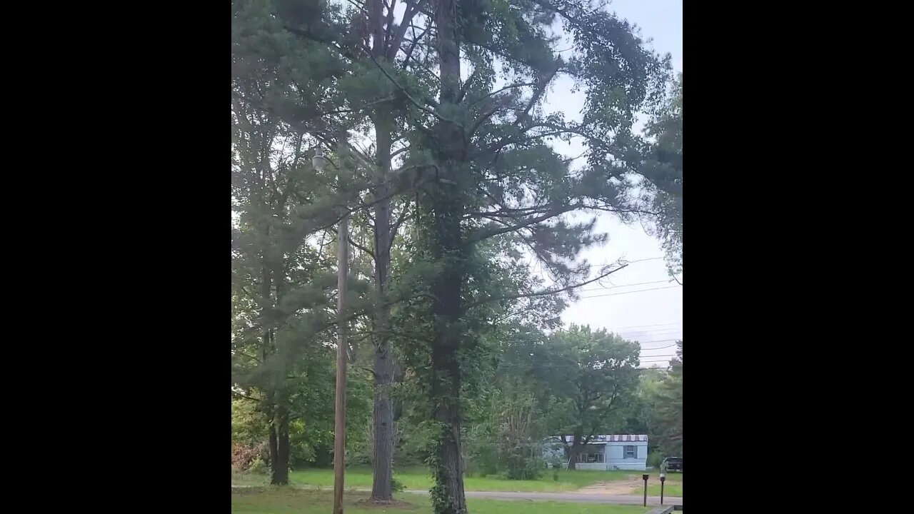 Monticello Arkansas Fire Department Responding To Multi Vehicle Accident On 425 / Old Warren Rd