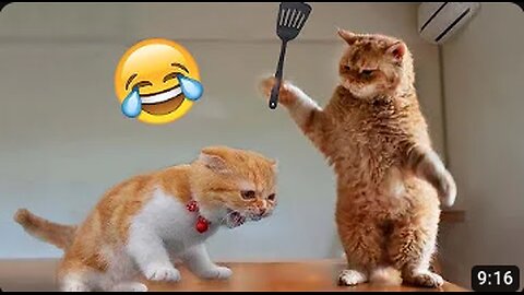 Best Funny Animal Videos of the year (2023), funniest animals ever. relax with cute animals video