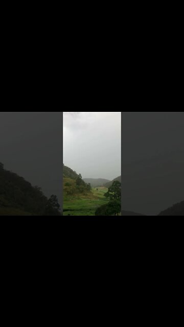 Storm in the Gully - the running water is catching it for drinking water