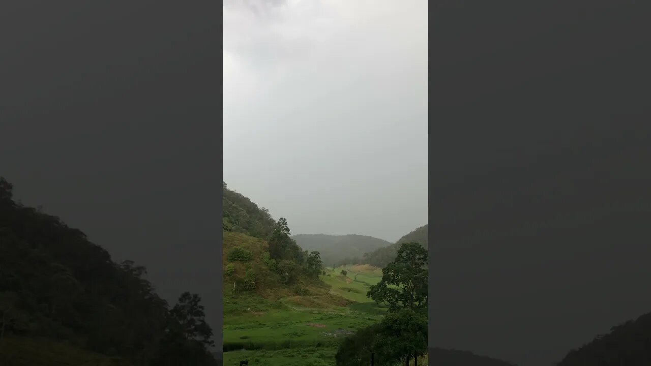 Storm in the Gully - the running water is catching it for drinking water