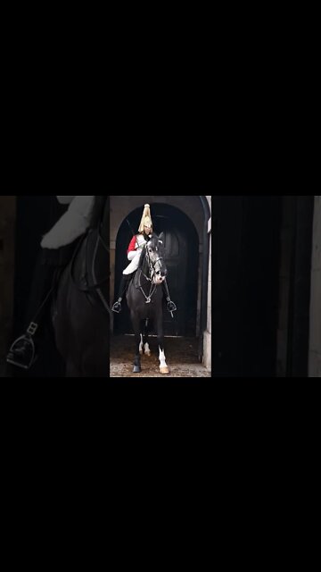 A horse with something to say #horseguardsparade