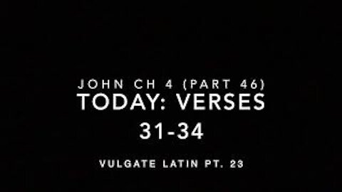 John Ch 4 Pt 46 Verses 31–34 (Vulgate 23)