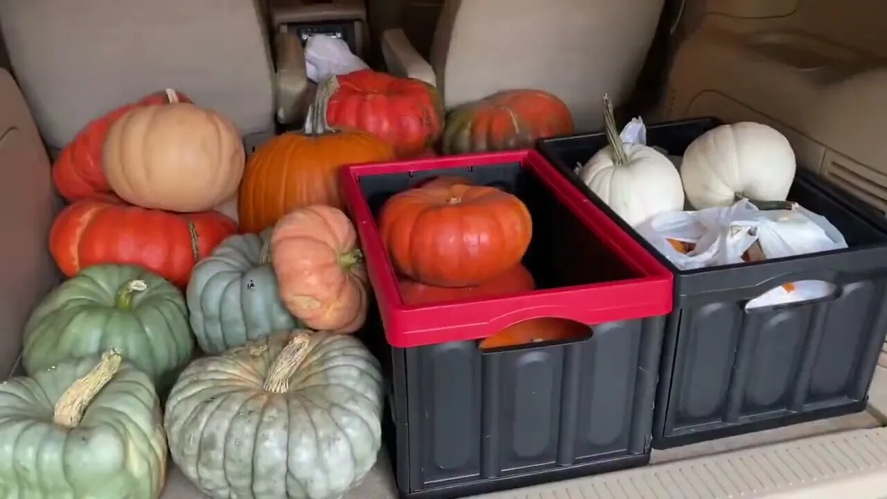 Decorating the front porch for autumn season