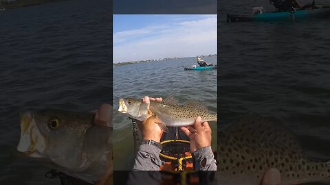 Catching BiG Trout In 5 Seconds #shorts #short #shortvideo