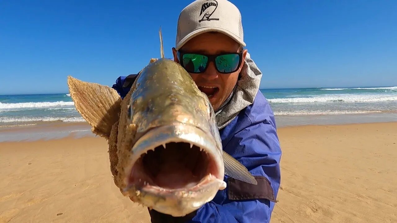 Targeting kob after taking a long break due to a shoulder injury. Great to be back next to the ocean