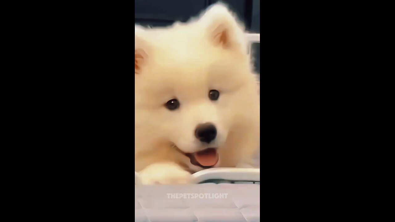 Cute ❤️