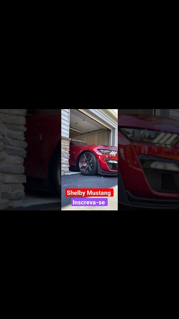 Shelby cobra v8 589 hp #shelby #ford