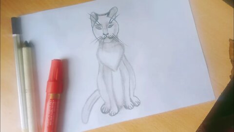 How to Draw a Cute Cat