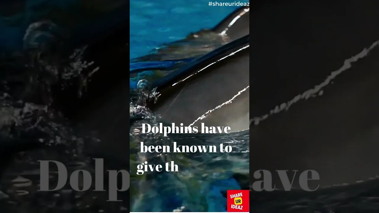 Unbelievable: How Dolphins Give Themselves Names #shortsvideo #shorts #shortsfeed #shortsviral #fact