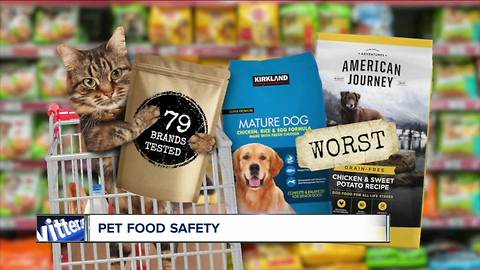 Is your pet food safe? Some contain toxins, lead