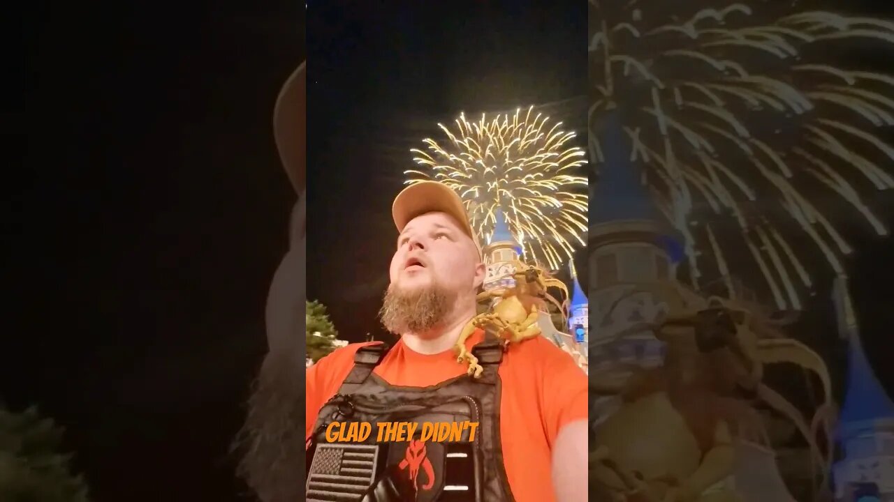 Magic Kingdom 4th Of July Fireworks | See It If You Can.