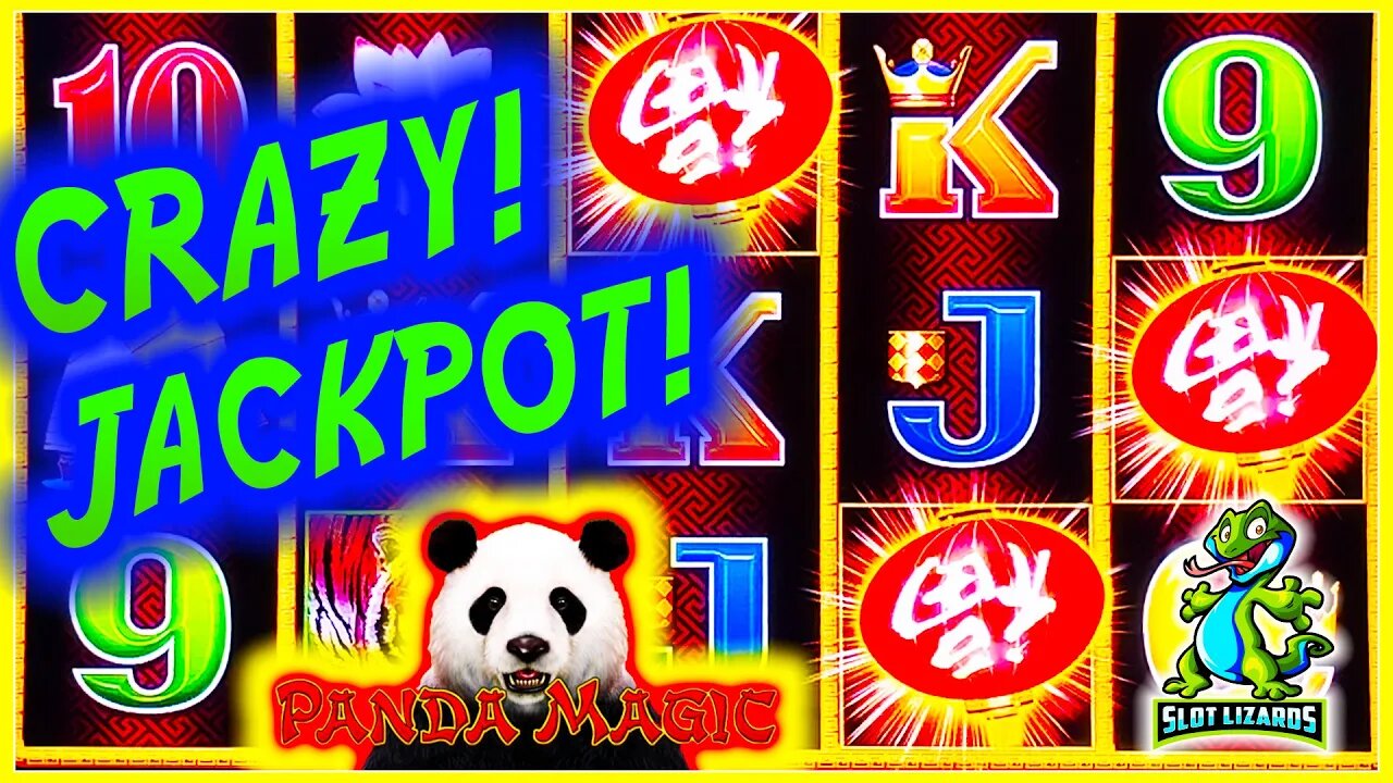 D GOES INSANE! UNBELIEVABLE CRAZY JACKPOT! Dragon Link Panda Magic Slot