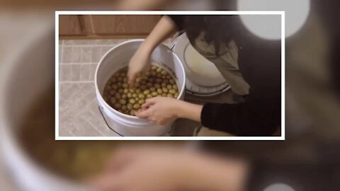 LF18 Olives 2 | Lacto-Fermentation eCourse Lesson 18